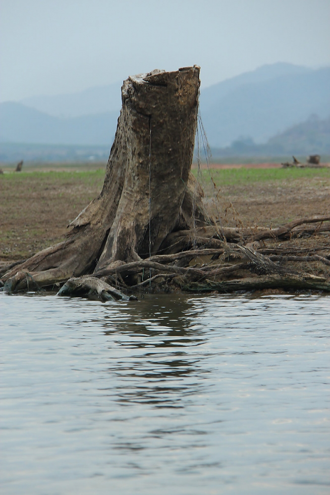 


 [b]ลากันด้วยภาพนี้นะครับ ปรารบุรี น้ำลง ต่อพุด ขับเรือระวังชนตอนะคร๊าบบบบบบบบ[/b]


 :laug