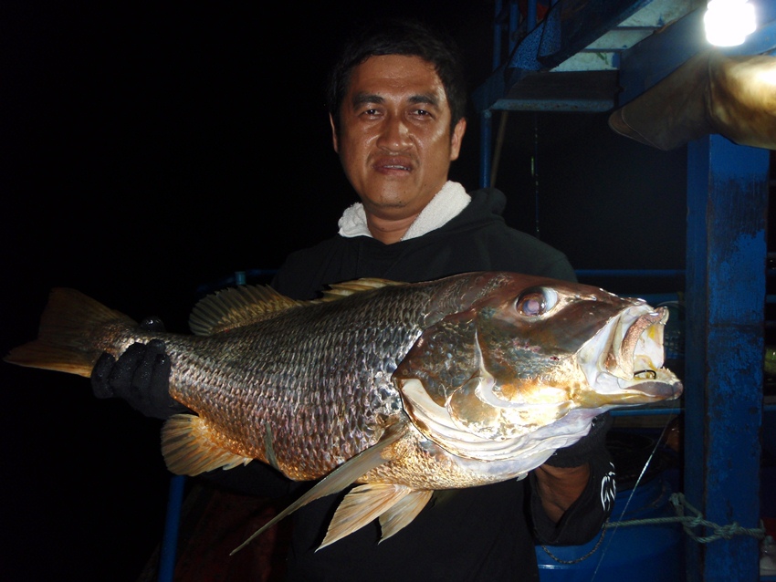  คราวนี้หันมาดูปลาหน้าดินที่เราได้ห่างๆตัวกันบ้างครับ ว่ามีอะไรบ้างครับ เริ่มจากอังเกยของพี่วุฒิก่อน