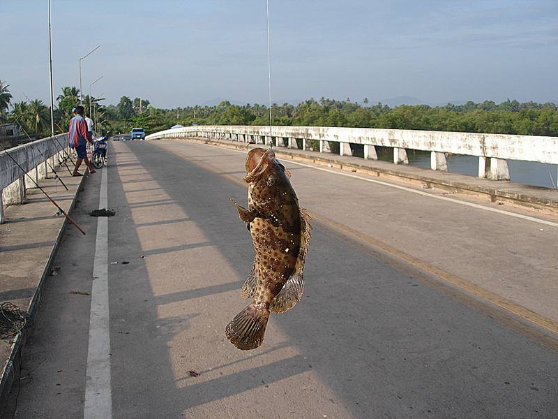 ดูซิครับ.......... เรียกร้องความสนจัย....... ว่าอยากถ่ายภาพ.........ม่ายมีใครเลย.... ที่จะหันมาดูแลเ