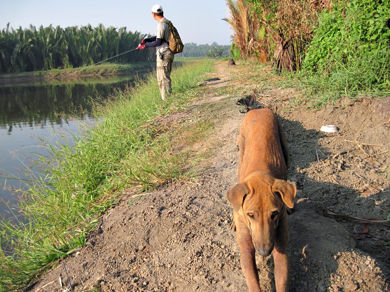 พอพี่หนุ่ยหันไป น้องหมาก็หันมาซะงั้น  :laughing: :laughing: