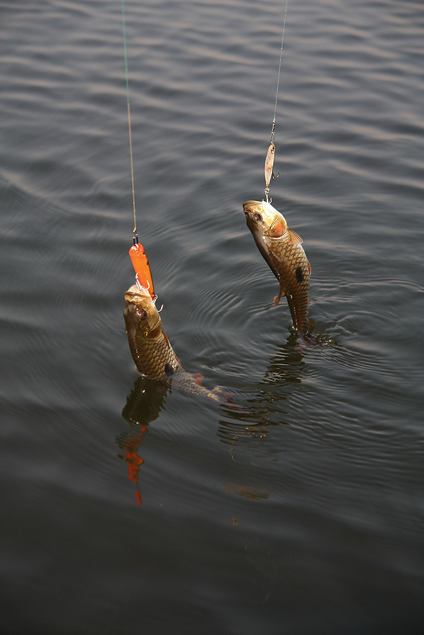 แต่ก้ออ้ะนะ.....ขึ้นเรือทีละสองแบบนี