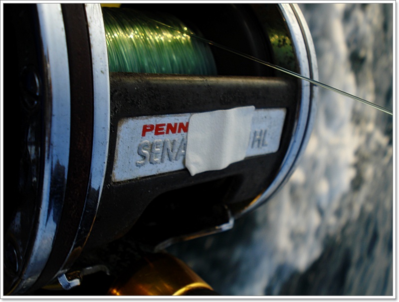  [b]PENN SENATOR 114HL รุ่นครูทะเล  ผูกสาย 50 ปอนต์ จูง CD 14 ขาวหัวแดง ++

สภาพน่าเก็บไว้บนหิ้ง ม