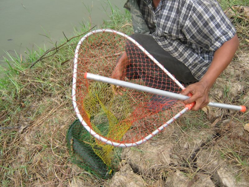 ตัวนี้ได้ตรงคูน้ำข้างทางเข้า กระดี
