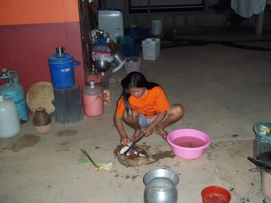กลับมาถึงบ้าน


อีแม่  ต้มปลาค่อให้กินแน :laughing: :laughing: :laughing: :laughing: :laughing: :