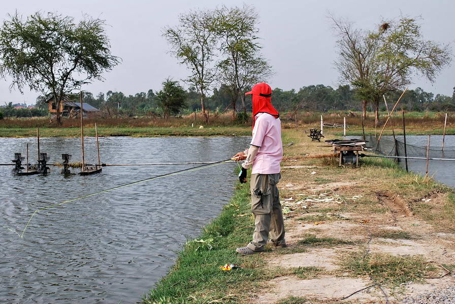 [q][i]อ้างถึง: footfish posted: 11-03-2554, 17:04:51[/i]


เมียทำให้  ต้องหมานอยู่แล้ว  ใช่ป่ะครั