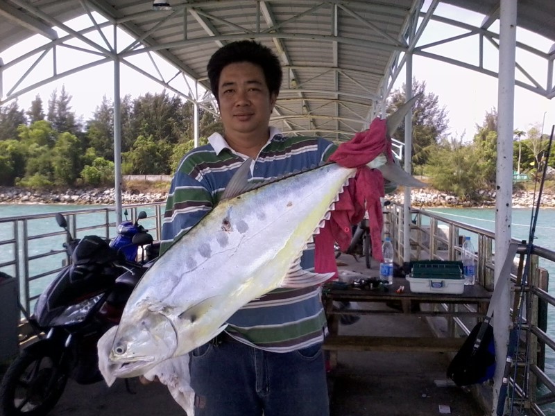นี่ครับ...บิ๊กเสียดมาแล้ว เสร็จน้ากบซะ....6.4 โล สถิติสูงสุดของปีนี้ เสียดายผมไม่ได้มาเลยไม่ได้ภาพมั