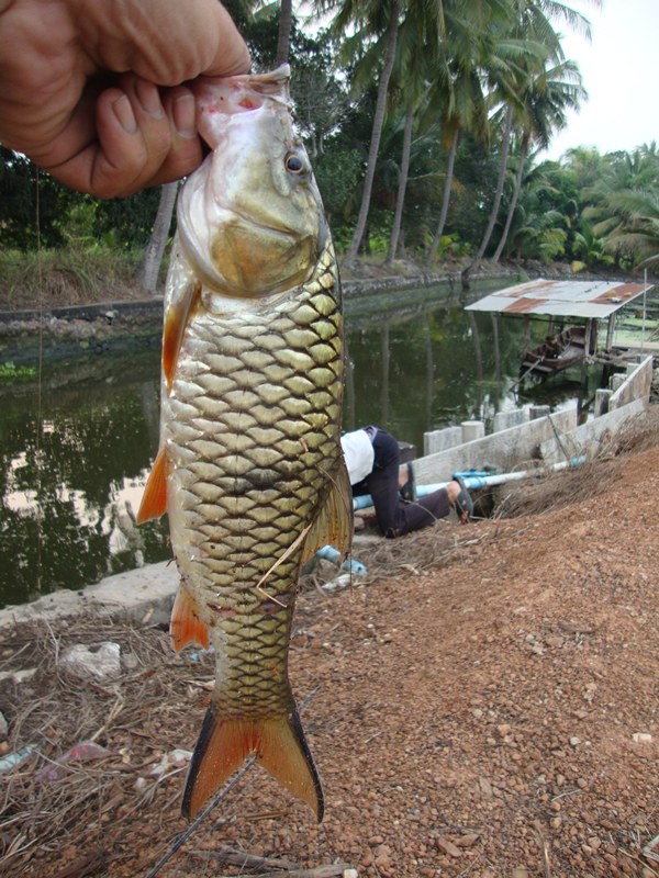ภาพเหลือครับลงไห้หมดเลย :grin: