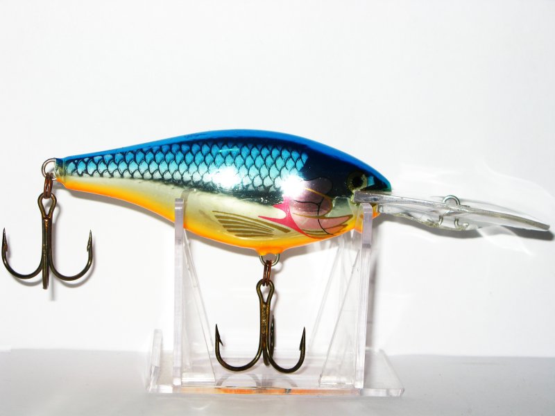 เหยื่อตัวสุดท้ายที่เสียไปในครั้งนี้คือRapala Risto Rap.  เหยื่อตัวนี้มีค่ามากกว่าราคาค่าตัวของมันซะอ