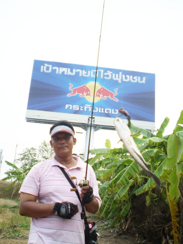 ไอ้ตัวจิ๋ว...ดิ้นรนหาอิสระภาพ ...อ่ะปล่อยยยยยย  :grin: :grin: :grin: