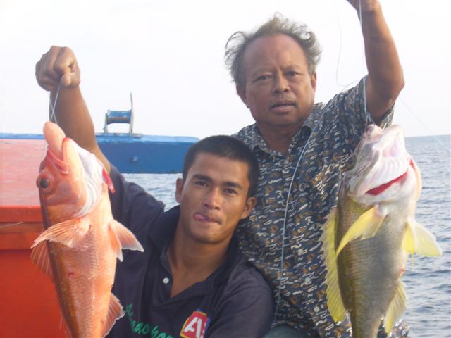 แบบนี้