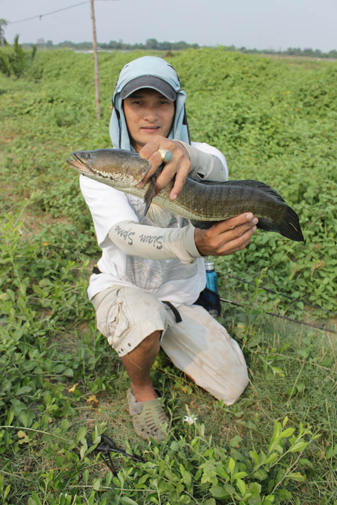  [b]อ่ะโชว์หล่อก่อนล่ะกัน [/b] :grin: