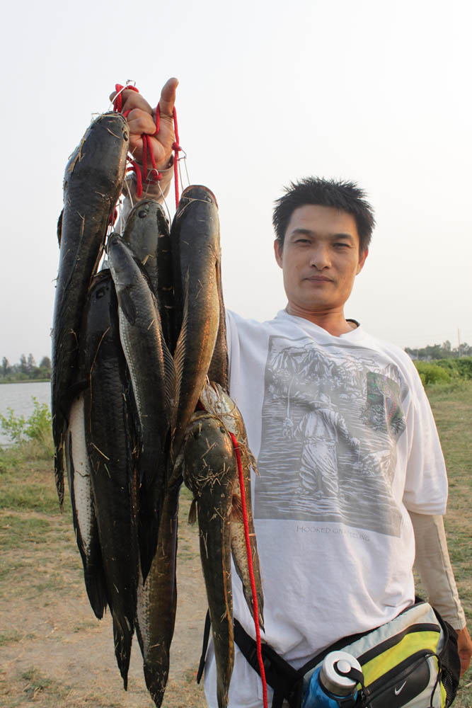  [b]ของพี่โอ๋กี่ตัวไม่รู้แต่ก็น่าจะพอๆกับผม[/b] :grin:
