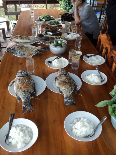 อาหารกลางวันวันนี้ครับ... กินง่ายอยู