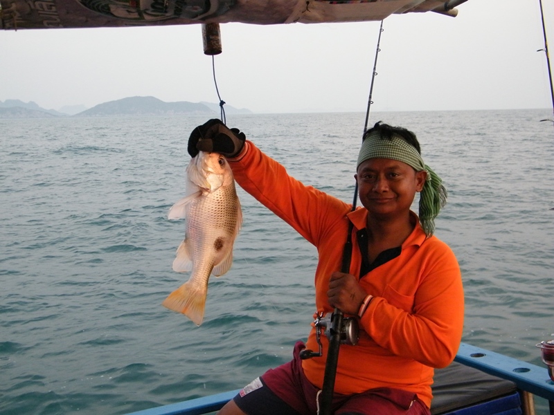ไซด์กะรังกิงเยย
===============================================
 [b]หวัดดีครับน้า boom_bass ..น้า 