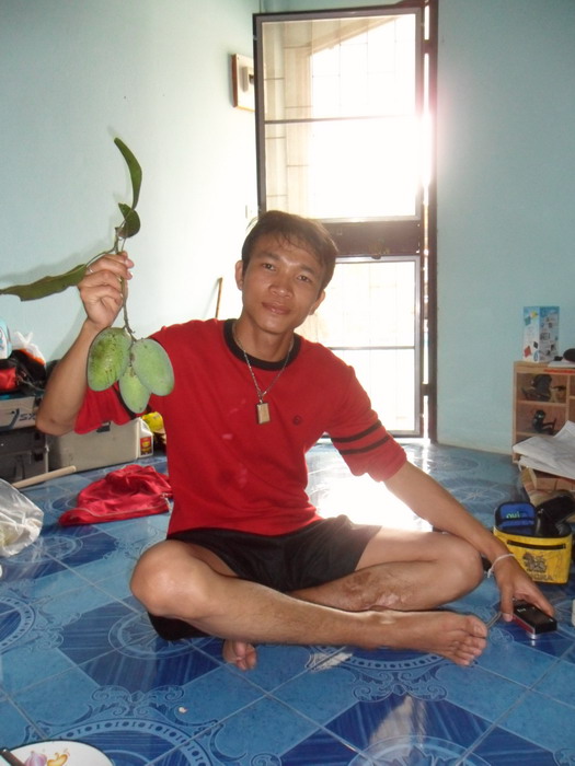 กลับมาถึงห้อง เจ้าวุธไปสอยมะม่วงหน