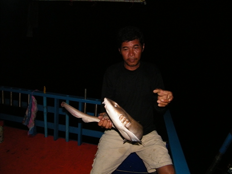 ดื้อเหรอ...จับผัดฉ่าซะ :laughing: :laughing: :laughing: :laugh