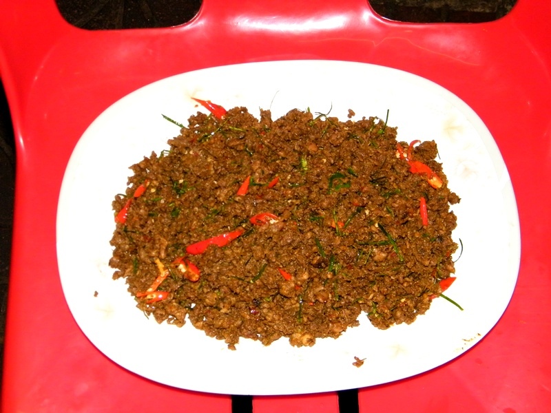 นกผัดเด่งรีเจนซี่
