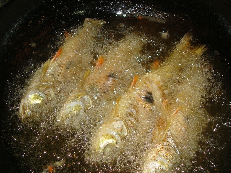 [center][b]เช่นเคย ปลาเล็ก ปลาน้อย หรือปลา