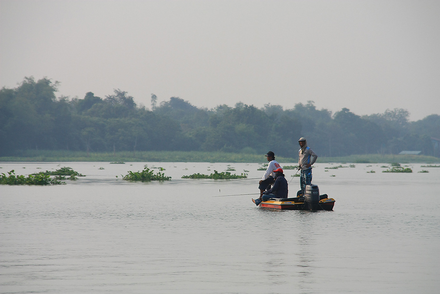 รอบๆเรือขุดมีปลากระสูบขึ้นกัดลูกปลาซิว แบบประปราย
โดยมีท่านรองโม่งมาเฝ้า หาทางเอาตัวรอด
 :grin: :g