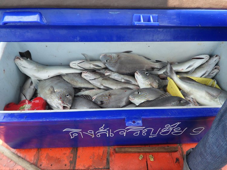 เปิดลังเช็คดูครับ  โถ ถ้าไม่ติดธุระนะเต็มแน่นอน55