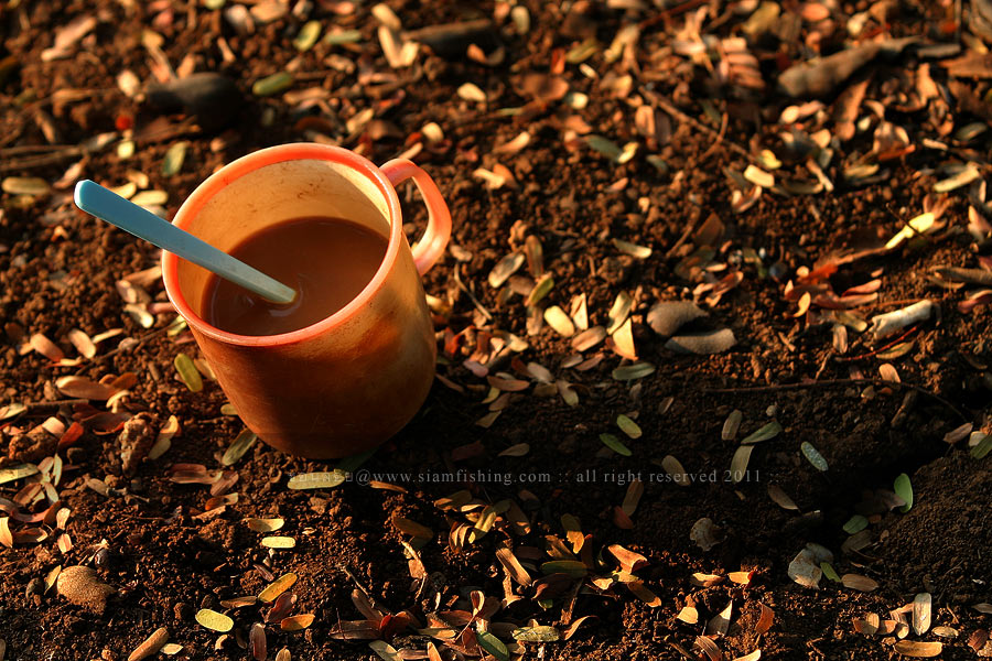 coffee addict :: กาแฟ คือ ยาเสพติด

..

สิ่งแรกหลังจากลืมตาตื่น คือการหา กาแฟ กรอกใส่ปาก ครับ

