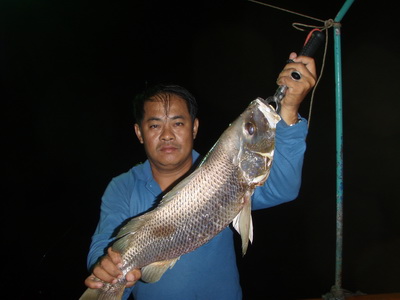 ผมเอาอังเกยขึ้นมา