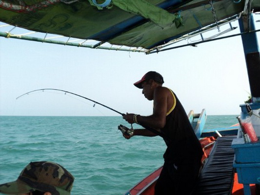 ส่งของเสร็จ หน้าเรือลุงนิดก็กำลังอัดปลาพอดี... :ohh: