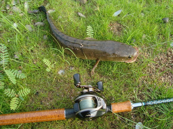 [q][i]อ้างถึง: Mong_Actionlure posted: 18-03-2554, 18:25:18[/i]

+ป๊าดดดดดดดดดดด..............เห็น