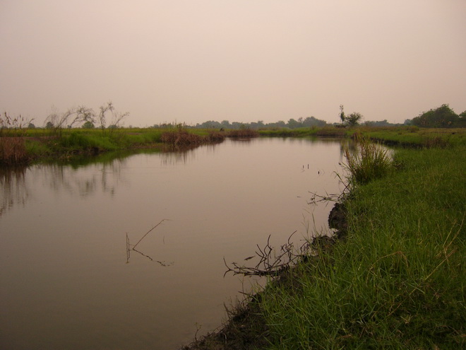 ปลาขึ้นจิบน้ำเยอะ มีตัวไล่กบยางแต่ไม่โดน