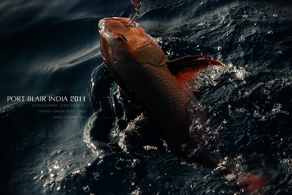 "อีกมุม"

ภาพ Close up จากความเห็นที่ 260 จา