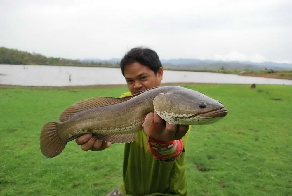 ขอมั่งครับ
