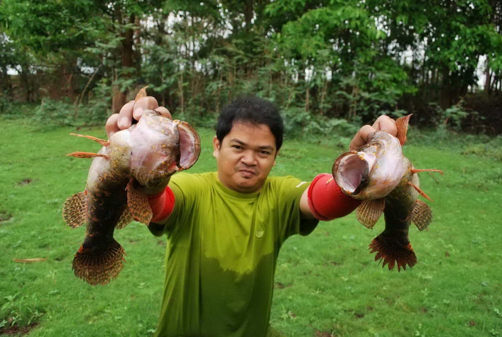บู่บ้างครับ จั่วกันมาคนละตัว