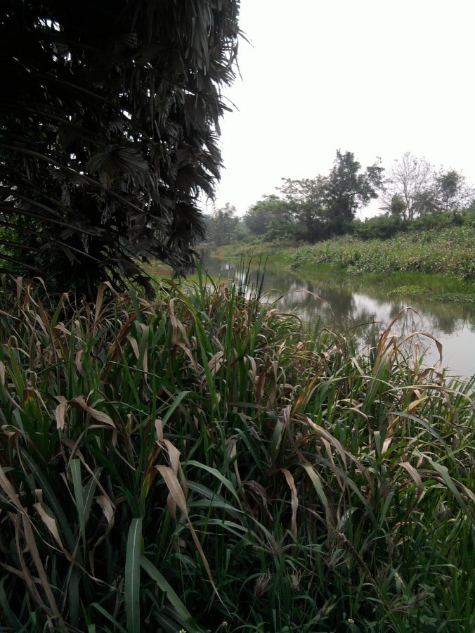 รูปก่อนเป็นหมายด้านหน้า  ด้านหลังเป็นหมาย ไม่มีแหนน ตรงกลางโลง 