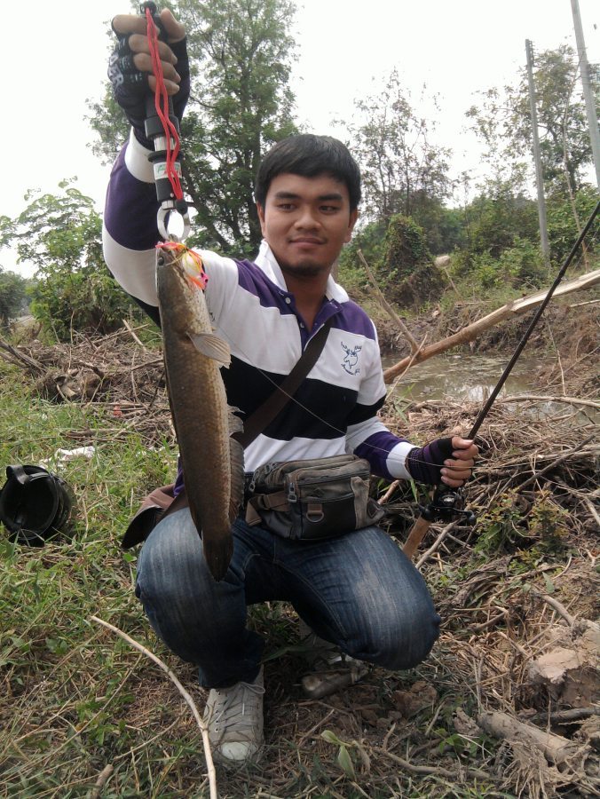 [q][i]อ้างถึง: โมโม้..K..N posted: 21-03-2554, 10:00:23[/i]

 :cheer: :che