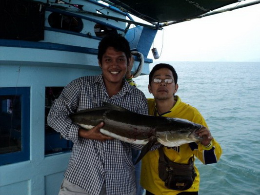 เร็วๆเจ้าของเขาหมดแรงแล้ว.... :laughing: :laughing: :laughing: