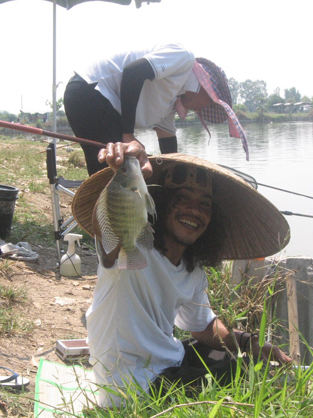 ไซร์เริ่มเล็กลง ๆ