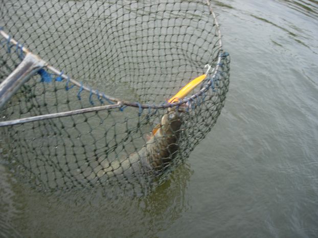 [q][i]อ้างถึง: fishingjoke posted: 21-03-2554, 14:36:22[/i]

+++++ครับ ลำแชะ :love: :love: :love: 