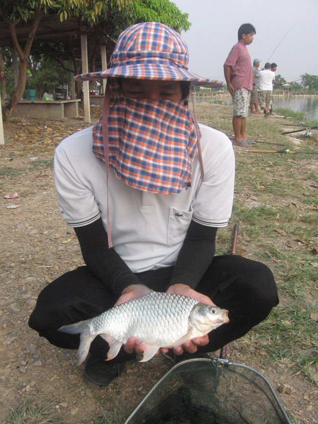 ตะเพียน กะลังต้มเค็ม