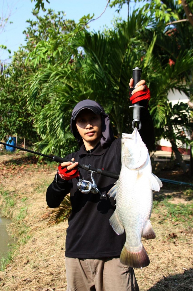 [q][i]อ้างถึง: นู๋โส posted: 21-03-2554, 16:42:47[/i]

ตัวกำล
