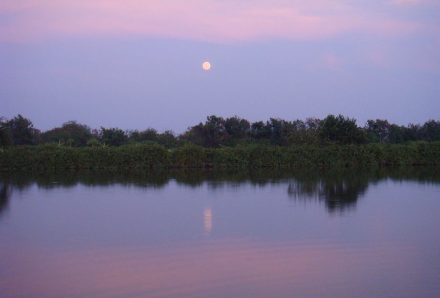 ที่กัดอาการแปลกๆหรือว่าจะเป็นเพราะเหตุนี้ SUPERMOON :think: :think: :think: :think: :think: :think: 