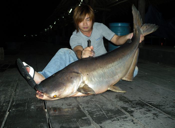 มาจนได้

อิอิ  หายเหนื่อยเลย :cool: