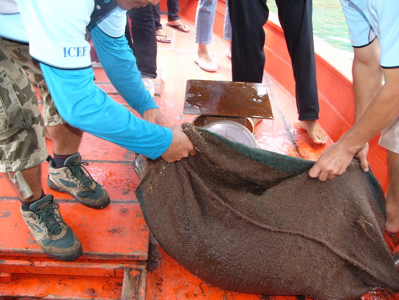 จัดการเอาปลาใส่ประสอบเปียกน้ำ ใส่ปลาขึ้นมาชั่ง