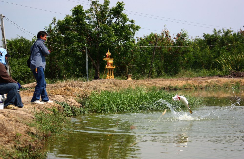 โดนอีกแล้ว :grin: :grin: