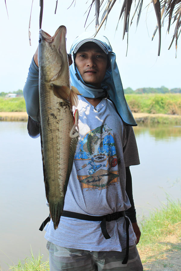 หล่อไป




[q][i]อ้างถึง: เสี่ยchoo posted: 26-03-2554, 15:22:05[/i]

ตัวอ้วนเลย+ :umh: :umh: