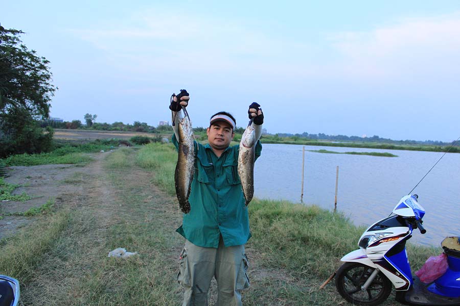[q][i]อ้างถึง: eaklovefishing posted: 26-03-2554, 15:53:48[/i]

+++++ ตามชมครับ  ^_^  :blush: :lov