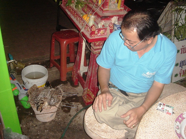 ก่อนกลับ กทม เลยให้ย่างปลาซะเลย

 :grin: