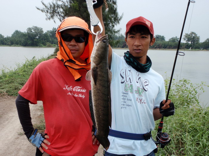ช่อนใหญ่ๆๆๆๆ  :cheer: :cheer: :cheer: :cheer: