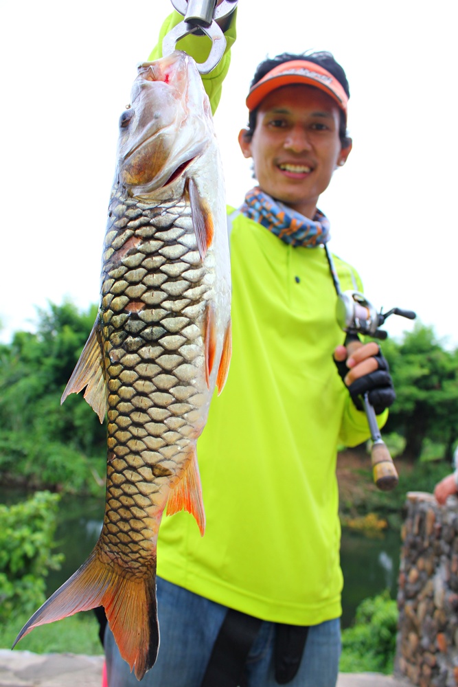 จัดไปอีกใบ :love: :love: :love: :love: