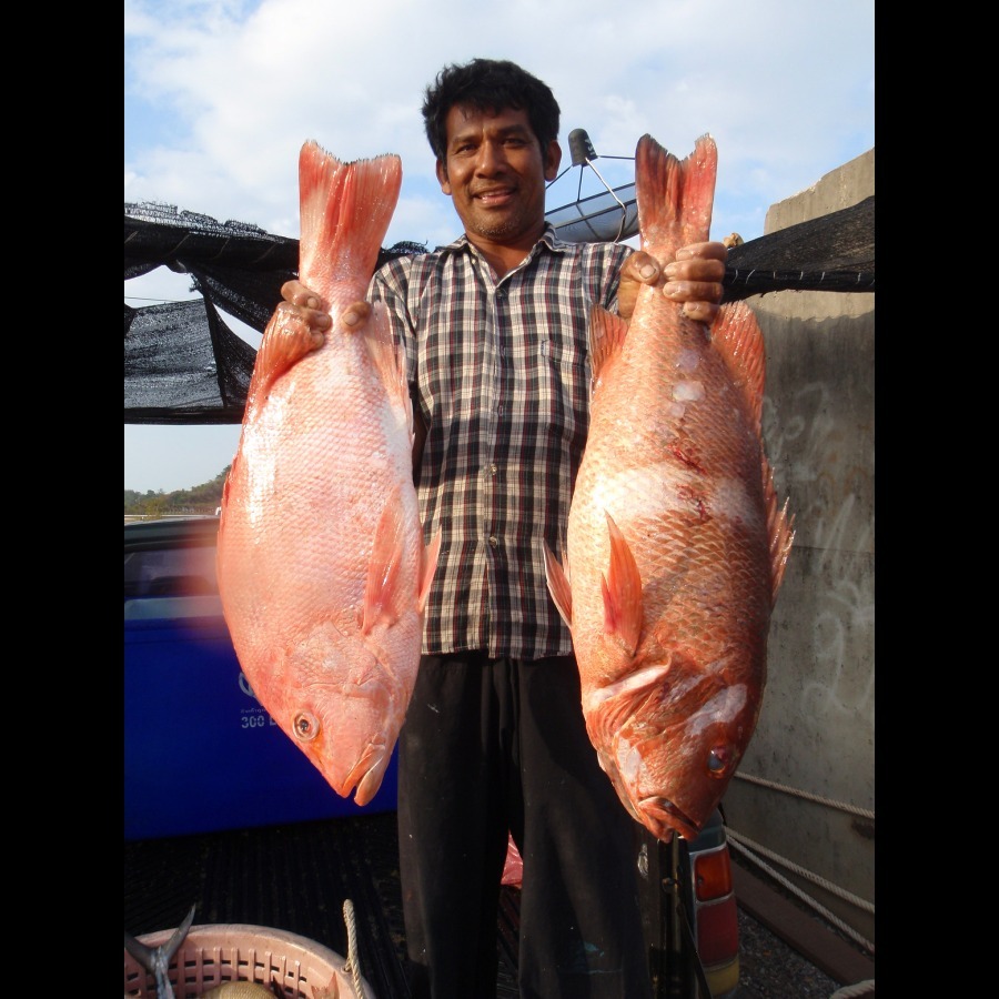 ไปกะคนนี้เลย ไต๋บิลลี่บางสะพาน :grin: