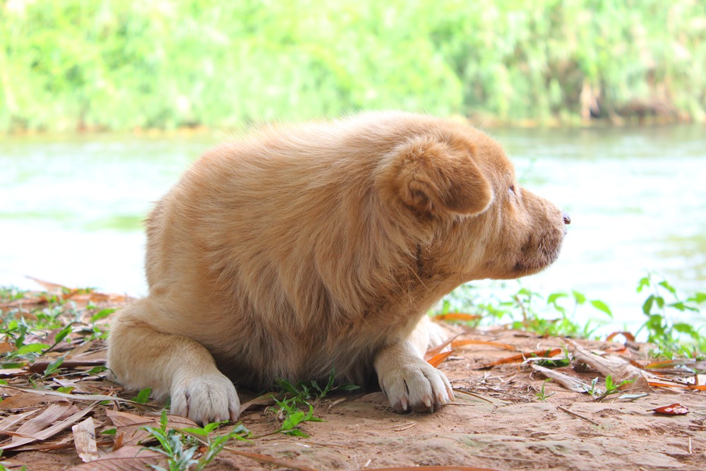 [q][i]อ้างถึง: รักษ์น้ำ posted: 28-03-2554, 11:40:04[/i]

อ่ะน้าโจ๊ก ผมถ่ายมาให้แล้ว เห็นตอนพยายาม